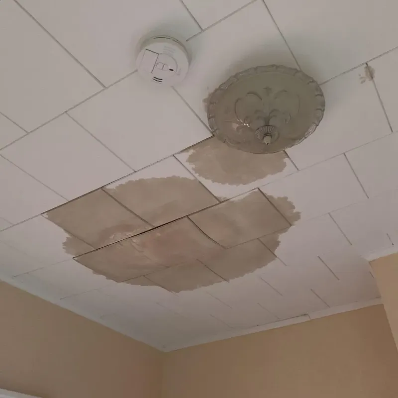 Ceiling Water Damage Repair in Timberlane, LA